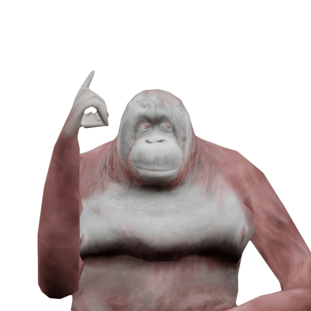 Orangutan