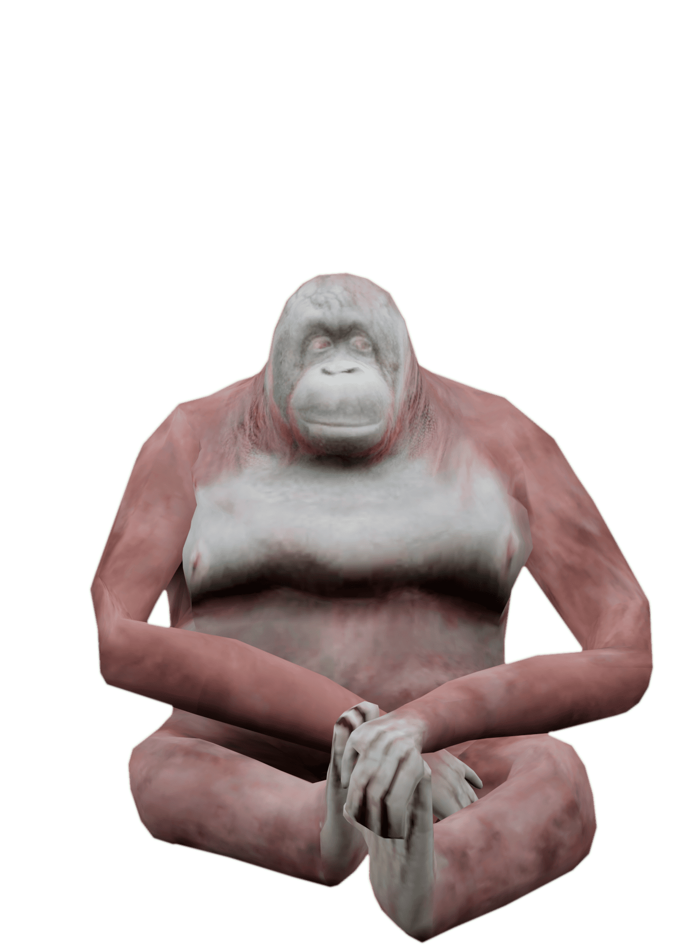 Orangutan